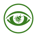 Inspectra Logo